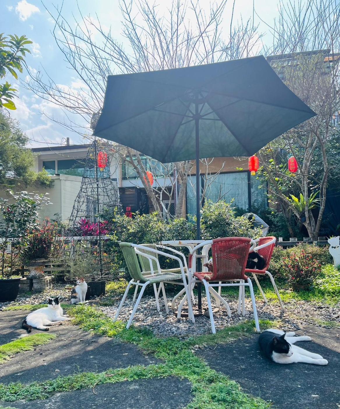 Cat Sky Country Homestay سانكينغ المظهر الخارجي الصورة