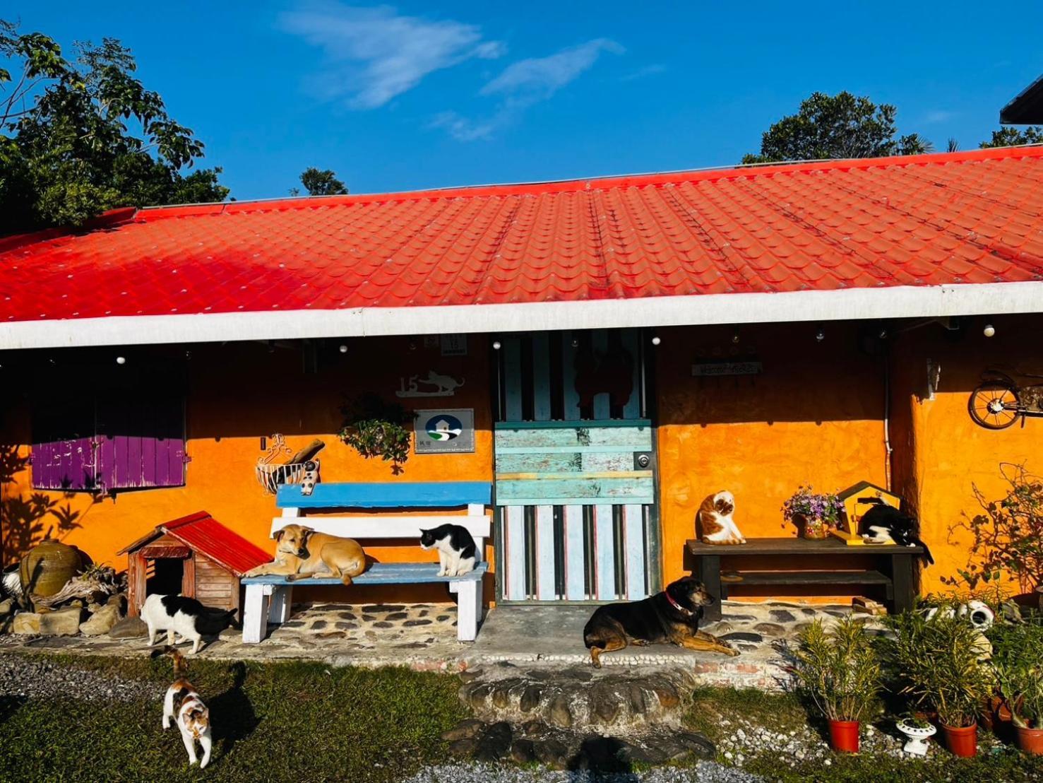 Cat Sky Country Homestay سانكينغ المظهر الخارجي الصورة