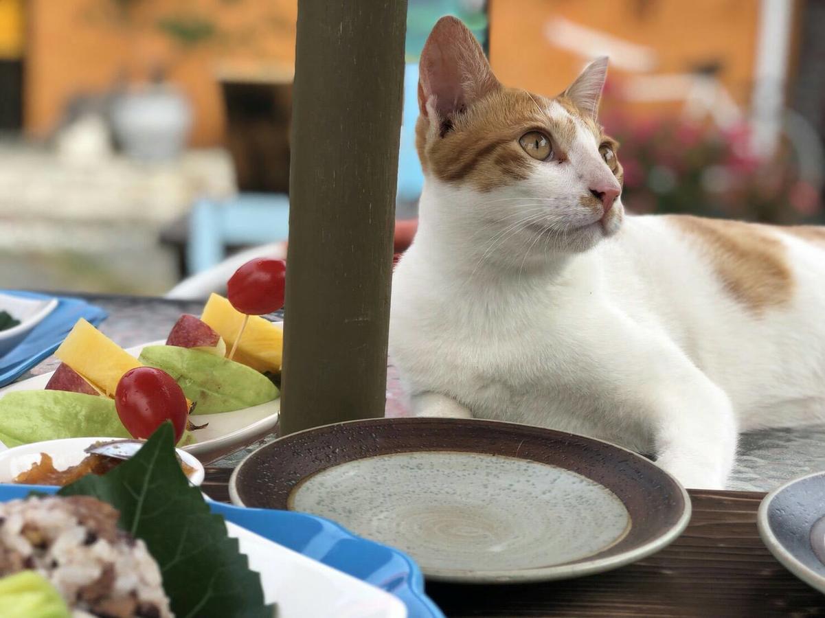 Cat Sky Country Homestay سانكينغ المظهر الخارجي الصورة